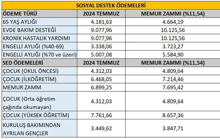 0x0 memur emekli zammi son dakika 6 aylik fark belli oldu iste 2025 yili memur zammi ve emekliye zam orani 1735889078600